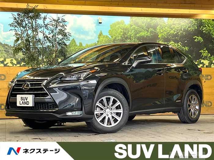 2017 Lexus NX