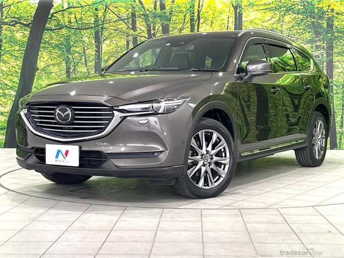 2019 Mazda CX-8