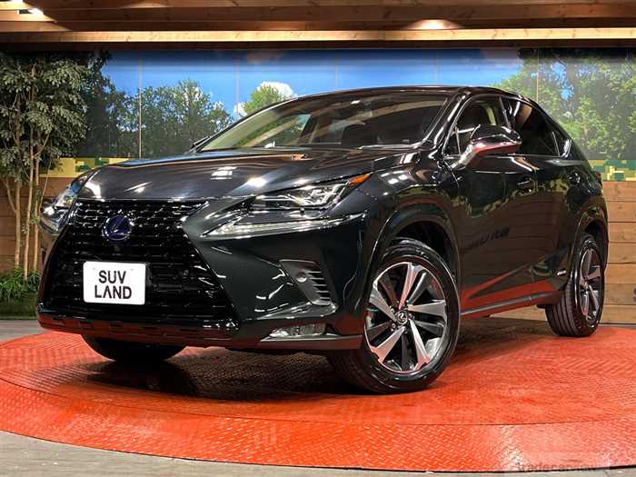 2019 Lexus NX