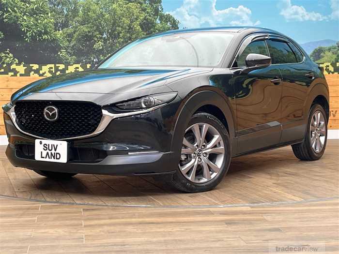 2019 Mazda Mazda Others