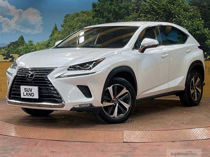 2018 Lexus NX