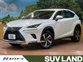 2018 Lexus NX