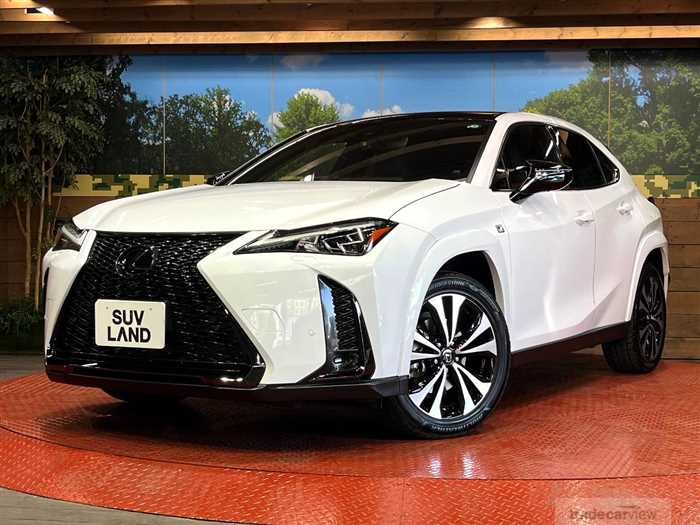 2023 Lexus Other