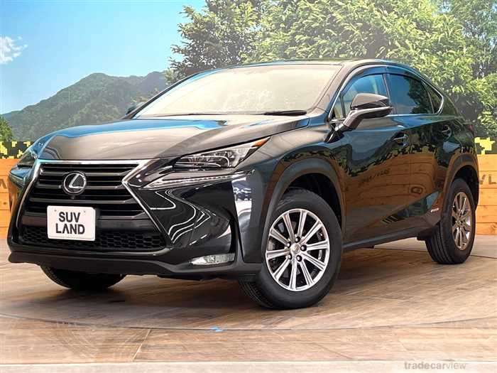 2016 Lexus NX