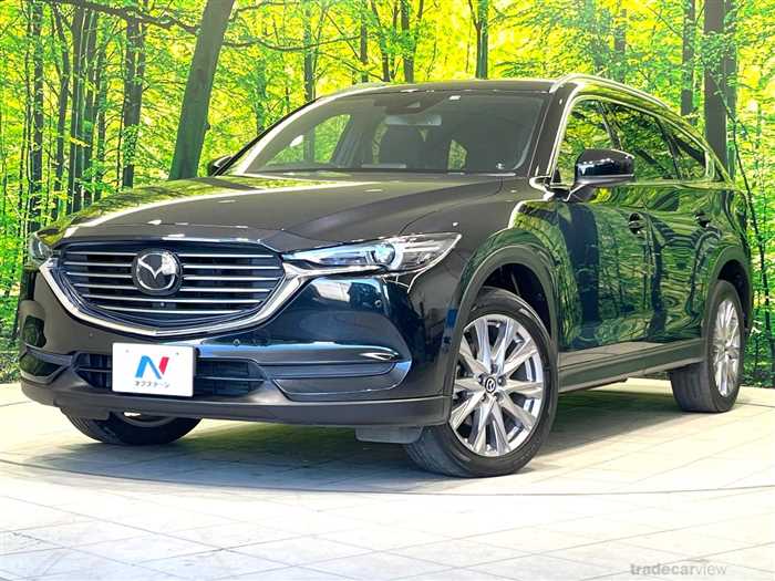 2019 Mazda CX-8