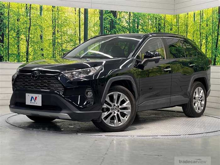 2019 Toyota RAV4