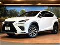 2020 Lexus NX