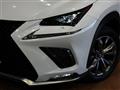 2020 Lexus NX