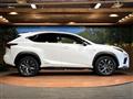 2020 Lexus NX