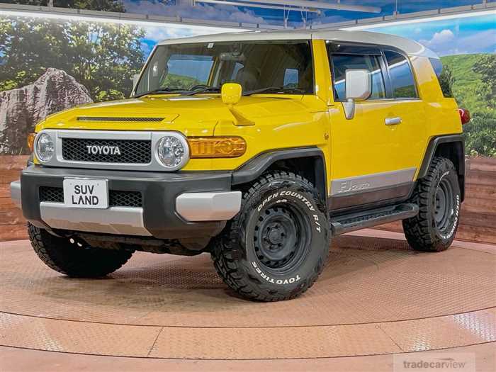 2011 Toyota FJ Cruiser