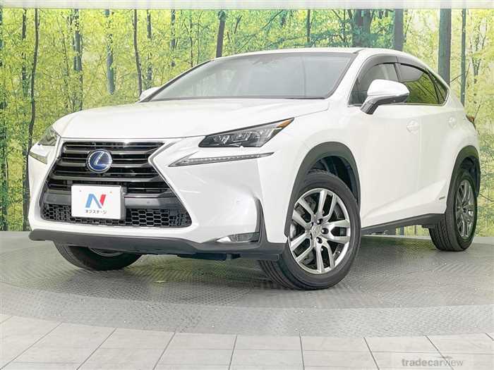 2015 Lexus NX