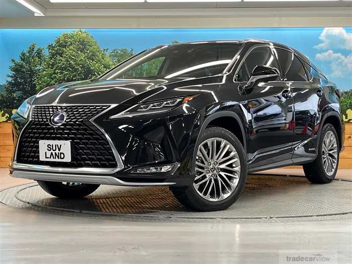 2019 Lexus RX