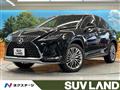 2019 Lexus RX