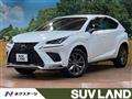 2019 Lexus NX