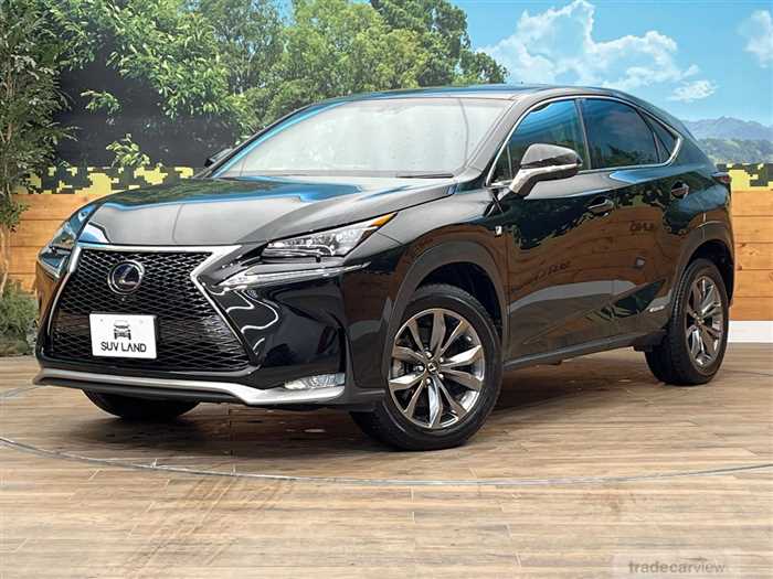 2015 Lexus NX