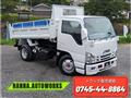 2009 Isuzu Isuzu Others