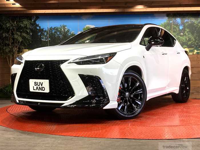 2024 Lexus NX