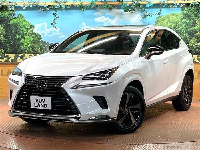 2020 Lexus NX