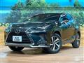 2021 Lexus NX