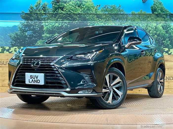 2021 Lexus NX