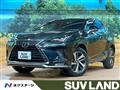 2021 Lexus NX