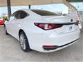 2019 Lexus ES