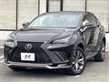 2018 Lexus NX