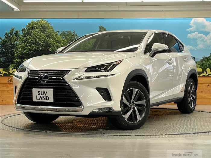 2021 Lexus NX