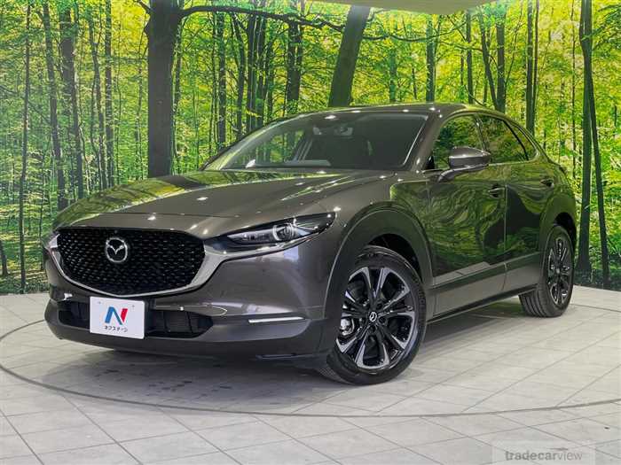 2019 Mazda Mazda Others