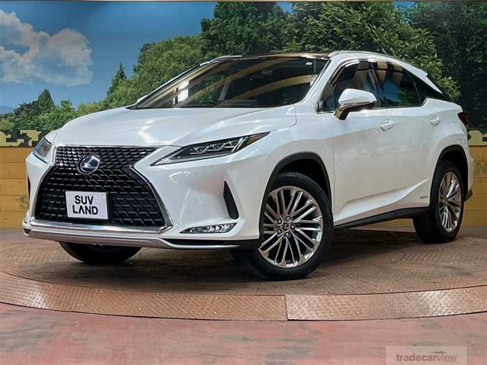 2020 Lexus RX