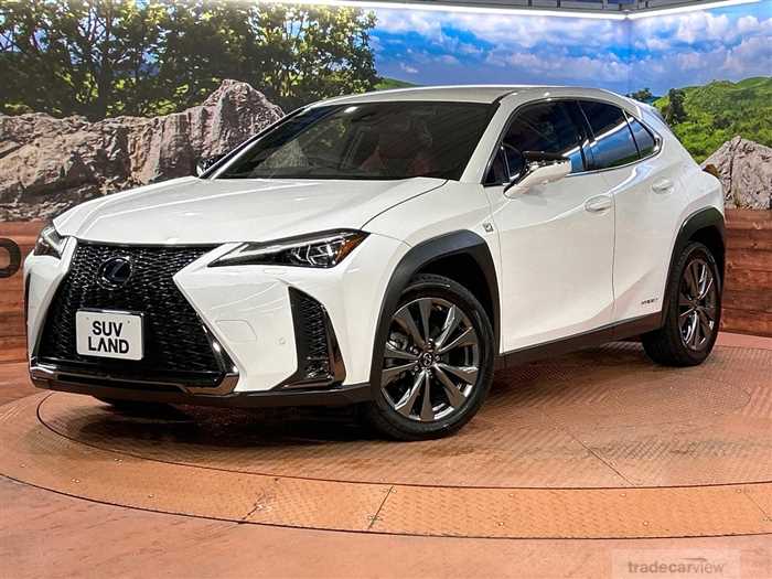 2019 Lexus Other