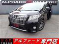 2017 Toyota Alphard G