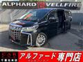 2019 Toyota Alphard G