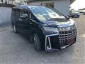 2019 Toyota Alphard G