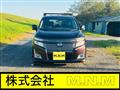 2010 Nissan Elgrand