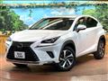 2018 Lexus NX