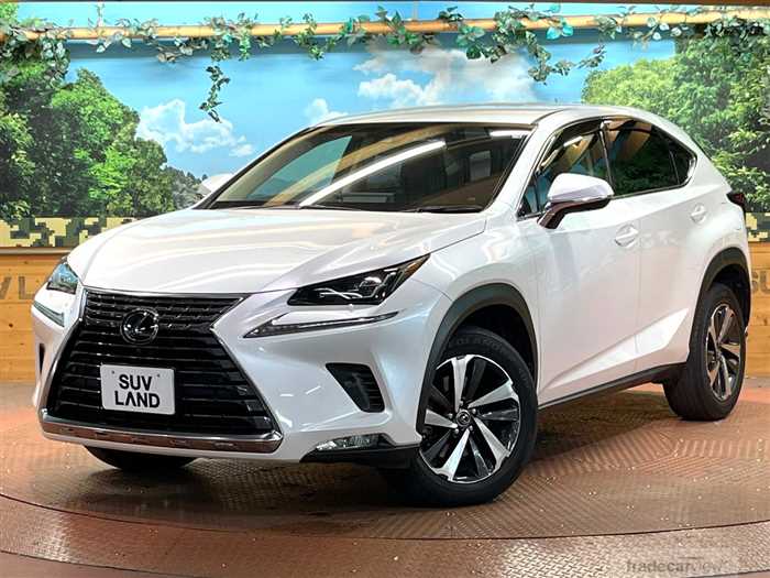 2018 Lexus NX