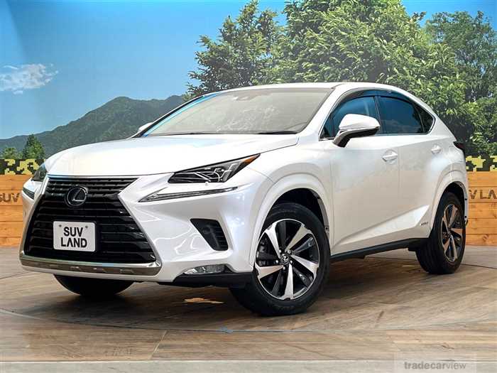 2019 Lexus NX