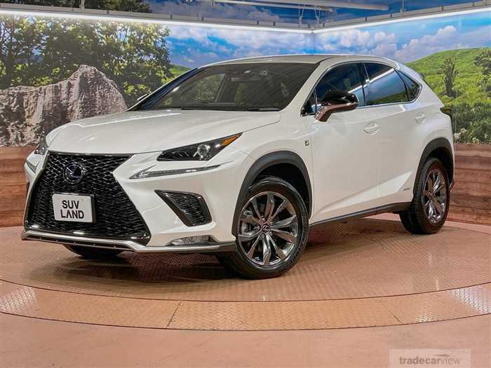 2020 Lexus NX