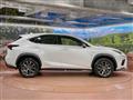 2020 Lexus NX