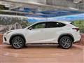 2020 Lexus NX