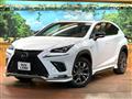 2019 Lexus NX