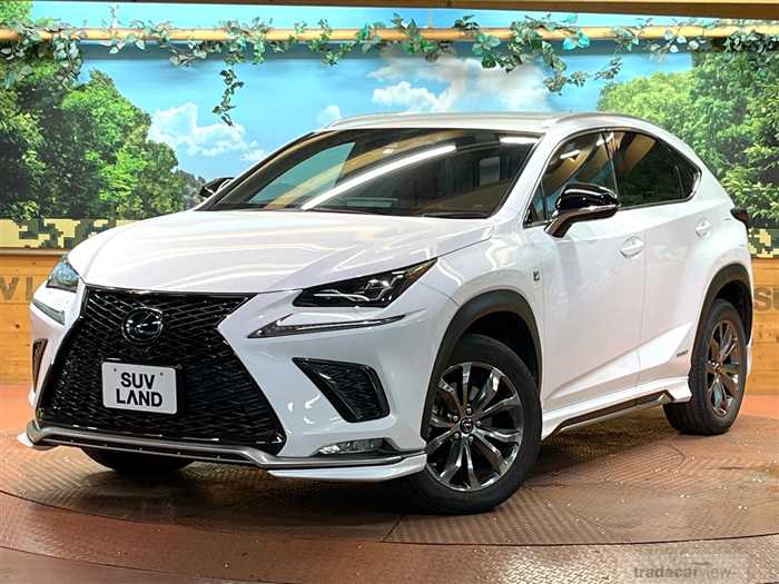 2019 Lexus NX