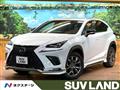 2019 Lexus NX