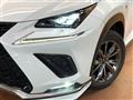 2019 Lexus NX