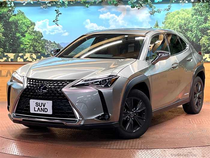 2021 Lexus Other