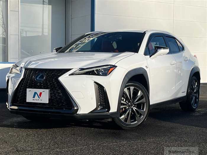 2019 Lexus Other