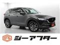 2019 Mazda Mazda Others