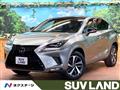 2018 Lexus NX