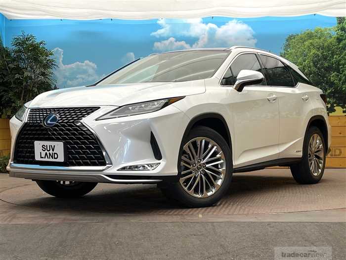 2019 Lexus RX